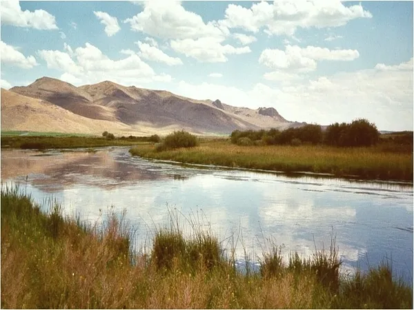 User submitted picture: The Silver creek in Picab...