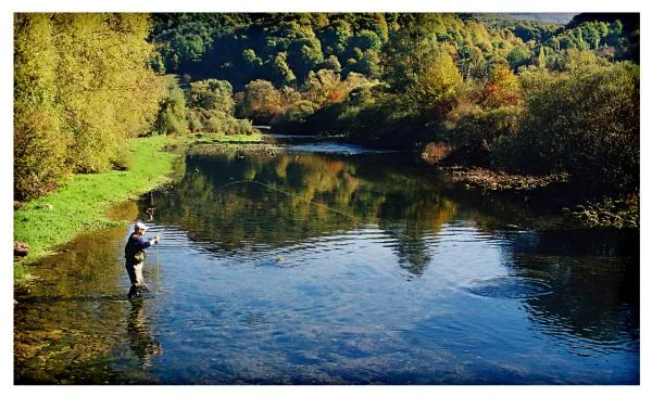 User submitted picture: Fish on! Summer 2010, it ...