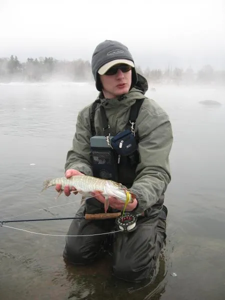 User submitted picture: Winter pike