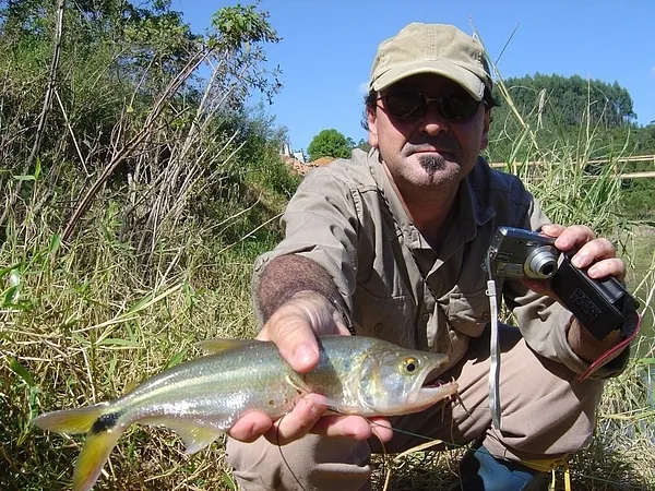 User submitted picture: Saicanga, a toothy fish w...